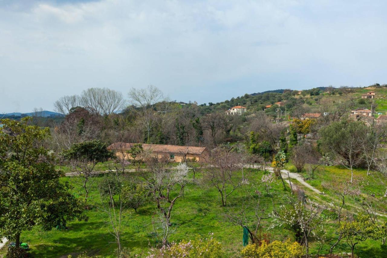 Spacious Apartment In Ceraso With Mountain View Dış mekan fotoğraf